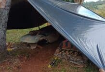 El RENATRE aumenta las prestaciones extraordinarias para trabajadores rurales vulnerables