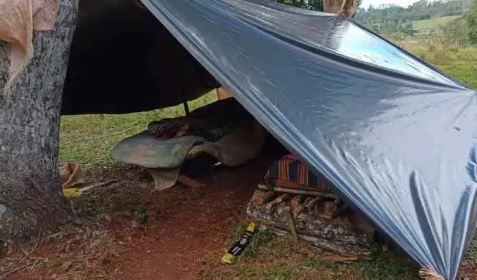 trabajadores rurales-vulnerabilidad