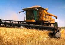 La actividad económica se mantuvo estable en septiembre y creció 1,9% interanual