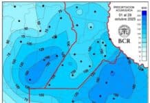 Lluvias aisladas y bajas temperaturas afectan al maíz y frenan la siembra de soja en la región núcleo