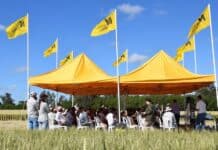 Tandil recibe al Campo Líder de Nidera