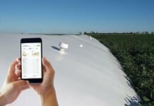 Récord histórico de warrants en Argentina: la emisión crece 116% en 2025 y Santa Fe lidera el boom