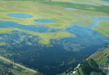 CARBAP contra la “quinta cuota”: fuerte rechazo al aumento del Inmobiliario Rural en plena emergencia hídrica