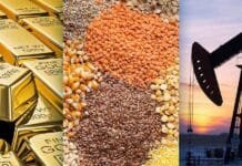 Commodities 2026: qué anticipa el Banco Mundial sobre precios, energía y márgenes del agro
