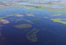 🌧️ El agua no da tregua: más de 360 mil hectáreas bajo el agua y millones afectadas por las inundaciones