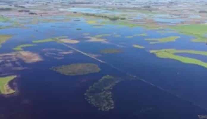 gentileza SOCIEDAD RURAL DE CARLOS CASARES, ERICA MORO