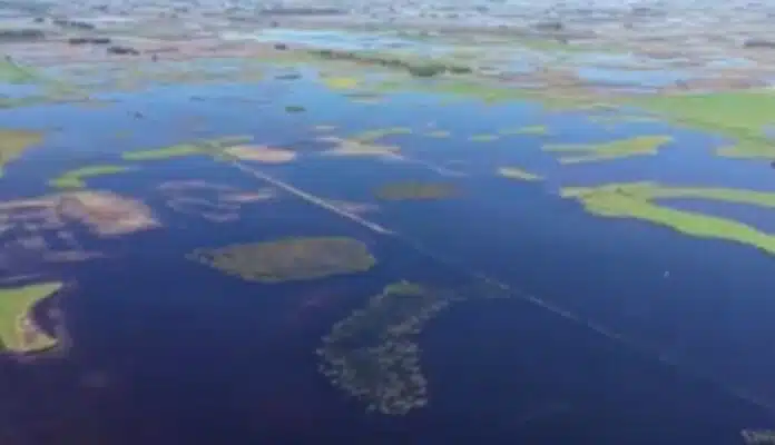 gentileza SOCIEDAD RURAL DE CARLOS CASARES, ERICA MORO