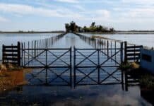🌊 “El agua avanza sin freno: ya hay partidos con más del 50% bajo agua y crece la presión por obras urgentes”