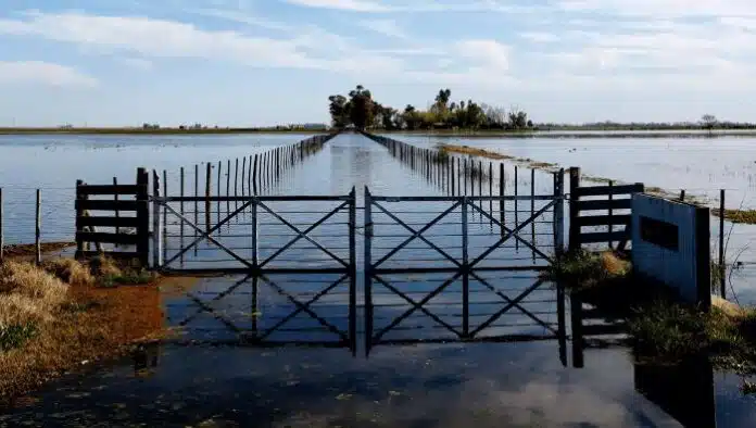 gentileza-inundaciones