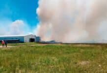 🧨 Impactante incendio: un galpón con 38.000 pollos quedó reducido a cenizas