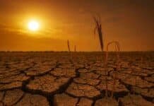 La Niña no afloja: confirman que seguirá activa hasta enero y será corta pero persistente