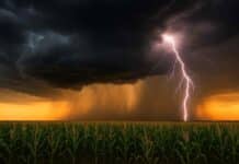 ⛈️ El mal tiempo avanza: seis provincias en alerta por tormentas eléctricas y lluvias intensas