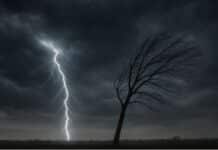 🌩️ Alerta por tormentas: prevén granizo, fuertes ráfagas y abundante lluvia en pocas horas