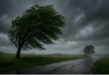 El SMN emite para el día de mañana múltiples Alertas Meteorológicos por tormentas, vientos y nevadas