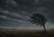 Lanzan doble Alerta Meteorológico por tormentas fuertes con abundante caída de agua, granizo y vientos fuertes con ráfagas que pueden llegar a los 75 km/h