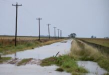 El Gobierno declara la emergencia agropecuaria en Buenos Aires por inundaciones: qué zonas están alcanzadas