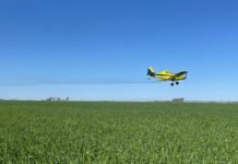 FeArCA celebra la baja de retenciones y afirma que fortalecerá la producción y la competitividad del agro