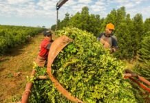 El campo respalda la Modernización Laboral: Bolsas de Cereales apoyan reformas e incentivos para atraer inversiones