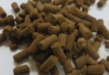 Del residuo al rendimiento: crean un biofertilizante argentino que regenera suelos y revoluciona el campo