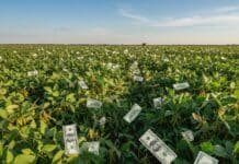 Señal al agro: baja de retenciones y un pedido que ya suena fuerte