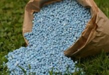 Boom de fertilizantes en Argentina: las importaciones crecen 19% y 2025 se encamina a ser uno de los años de mayor consumo de la historia