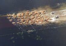 Inundación récord: la mitad del campo quedó bajo el agua y el distrito perdió US$114 millones