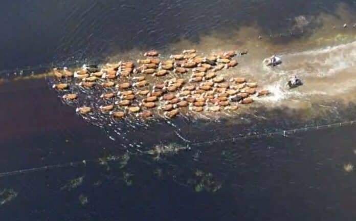 gentileza X Federación Agraria Argentina