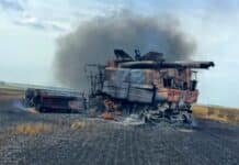 🔥 Tragedia en el campo: una cosechadora explotó en plena jornada y arrasó 15 hectáreas en minutos