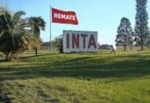 Avanza el ajuste en el INTA: retiro voluntario, cierre de centros regionales y venta de 42.000 hectáreas