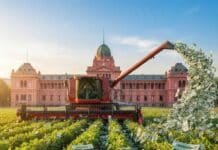 El agro celebró la aprobación del Presupuesto 2026 y habló de un avance en previsibilidad e institucionalidad