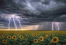 Triple alerta por tormentas, lluvias y viento: 11 provincias bajo riesgo por precipitaciones de 30 a 60 mm