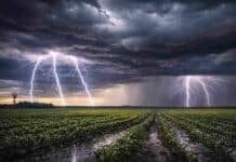 Alerta por tormentas fuertes: lluvias intensas, ráfagas y posible granizo