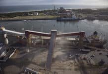 Exportaciones récord: las DJVE agrícolas marcan el mejor noviembre en cinco años