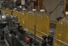 Boom del girasol: la molienda creció 34% en octubre y marcó el mejor registro en una década