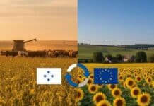 La UE destraba el acuerdo con el Mercosur y habilita la firma del mayor pacto comercial del mundo