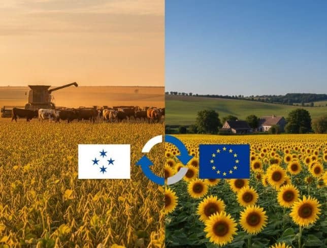 Acuerdo Unión Europea-Mercosur