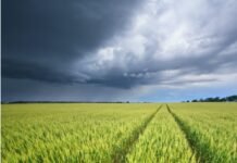 Lluvias clave en Córdoba: el sur y sudoeste recibieron los mayores acumulados y alivian la sequía