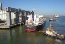 Récord exportador en Bahía Blanca: 2025 se mete entre los mejores años del puerto
