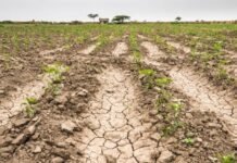 Santa Fe extiende la emergencia por sequía: aval nacional y alivio fiscal para el norte provincial hasta febrero de 2026