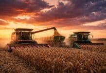 Mercosur-UE y retenciones: cuántas toneladas extra podría producir la Argentina