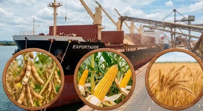 exportaciones-granos