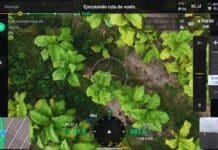 El agro del Norte se digitaliza: el INTA lleva inteligencia artificial y agricultura de precisión a la caña, la yerba y el tabaco