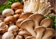 De la ciencia al plato: cómo el INTA potencia la vitamina D en hongos comestibles