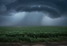Alerta Meteorológica naranja y amarilla por tormentas con caída de granizo, ráfagas y fuertes precipitaciones