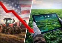 Alerta en el agro de EE.UU.: caen las ventas de tractores y cosechadoras y los farmers ajustan inversiones