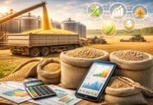 Granos: la plaza local exhibió cierta estabilidad en su pulso comercial. En materia de precios, las propuestas por maíz y soja se mostraron entre estables y bajistas, mientras que en trigo destacó una suba puntual