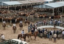 Cierre del mercado de hacienda el 7 de enero