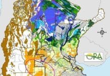 Reservas de agua en el suelo: excesos en el norte y señales de sequía que persisten en el centro del país
