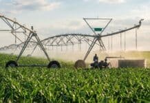 Inteligencia artificial al servicio del riego: el INTA detecta pivotes centrales desde el espacio