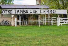 La lechería sigue cayendo: menos tambos y más concentración